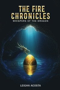 bokomslag Fire Chronicles