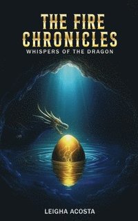 bokomslag Fire Chronicles