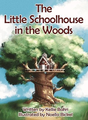 bokomslag Little Schoolhouse in the Woods