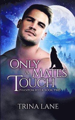 bokomslag Only A Mate's Touch