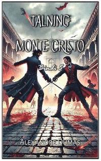 bokomslag Talning Monte Cristo