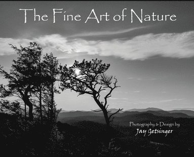 bokomslag Fine Art of Nature
