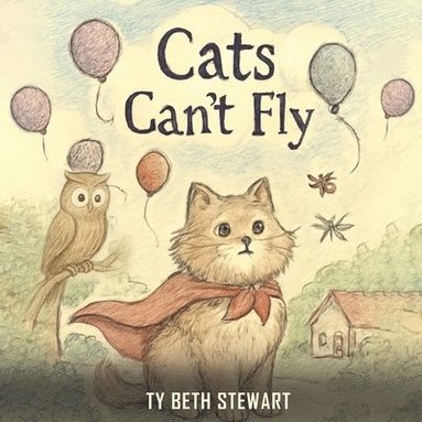 bokomslag Cats Can't Fly