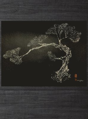 bokomslag Matsu