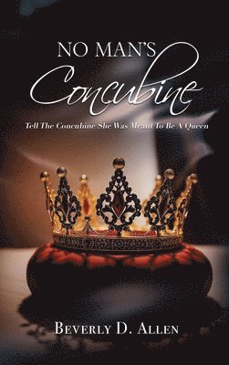 bokomslag No Man's Concubine