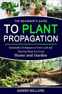 bokomslag Beginners Guide to Plant Propagation