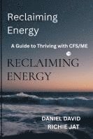 bokomslag RECLAIMING ENERGY