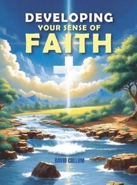 bokomslag Developing Your Sense Of Faith