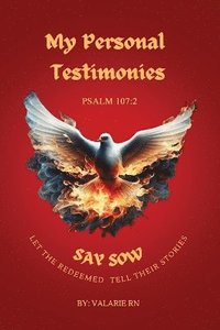 bokomslag My Personal Testimonies