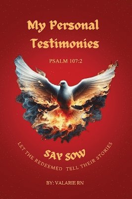 bokomslag My Personal Testimonies