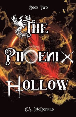 bokomslag Phoenix Hollow