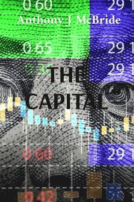 bokomslag Capital