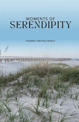 Moments of serendipity 1