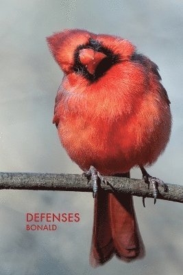 Defenses 1