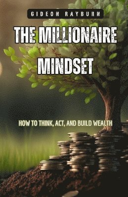 bokomslag Millionaire Mindset