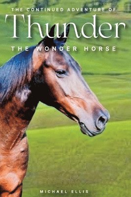Continued Adventures of Thunder 1