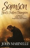 bokomslag Samson, God's Fallen champion