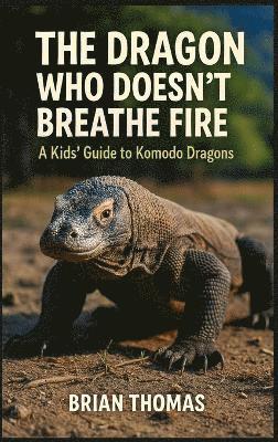 bokomslag Dragon Who Doesn't Breathe Fire