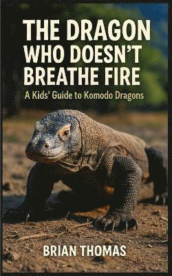 bokomslag Dragon Who Doesn't Breathe Fire