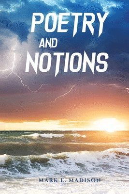 bokomslag Poetry And Notions