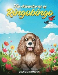 bokomslag Adventures of Ringobingo