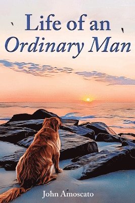 Life of an Ordinary Man 1