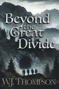 bokomslag Beyond the Great Divide