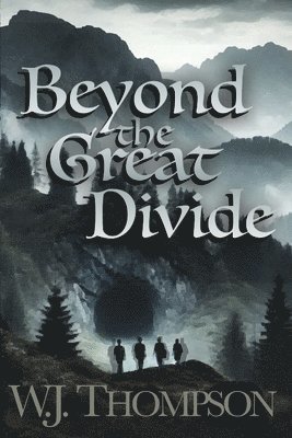 bokomslag Beyond the Great Divide