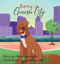 bokomslag Remy in Charm City