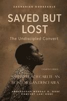 Sábháilte Ach Caillte- An Tiontóir Gan Deisceabla