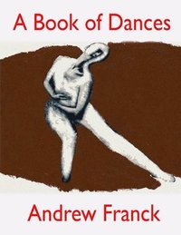bokomslag Book of Dances