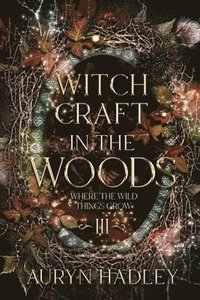 bokomslag Witchcraft in the Woods
