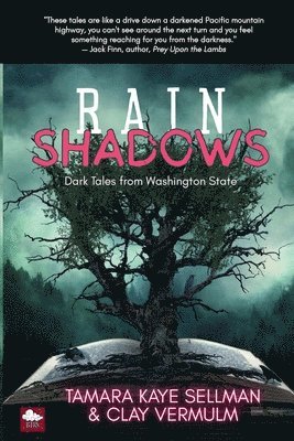 bokomslag Rain Shadows