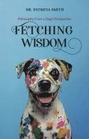 bokomslag Fetching Wisdom