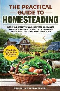 bokomslag The Practical Guide to Homesteading