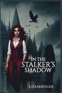 bokomslag In the Stalker's Shadow