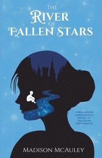 bokomslag The River of Fallen Stars