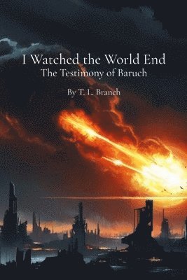 bokomslag I Watched the World End