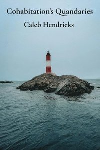bokomslag Cohabitation's Quandaries