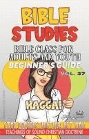 bokomslag Bible Class for Adults and Youth, Beginner's Guide - Haggai: Stop Procrastinating, Act Now!