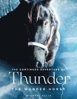 bokomslag Thunder the Wonder Horse