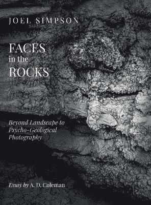 bokomslag Faces in the Rocks