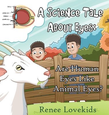 bokomslag A Science Tale About Eyes: Are Human Eyes Like Animal Eyes?