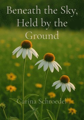 Beneath the Sky, Held by the Ground