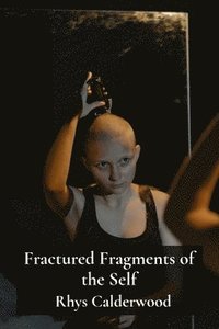 bokomslag Fractured Fragments of the Self: Navigating Identity Loss and Transformation in a Changing World