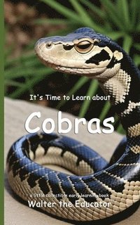 bokomslag It's Time to Learn about Cobras