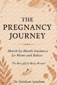 bokomslag Pregnancy Journey