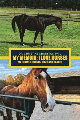 bokomslag My Memoir