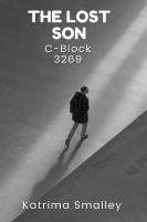 bokomslag Lost Son C- Block 3269