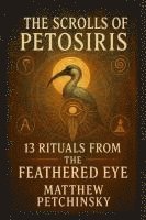 bokomslag Scrolls of Petosiris